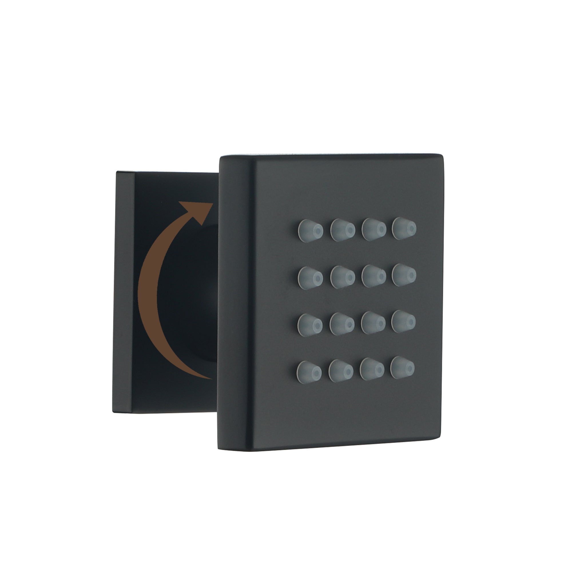 2-inch Stainless Steel Body Jet Adjustable Side Body Spray