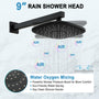 9-inch 2-Function Wall-Mounted Shower System with Handheld Shower