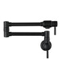 Double Handles Wall-Mounted Folding Pot Filler Space-Saving