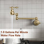 Retro Wall-Mount Pot Filler Kitchen Faucet with 360° Rotation & High-Flow Aerator