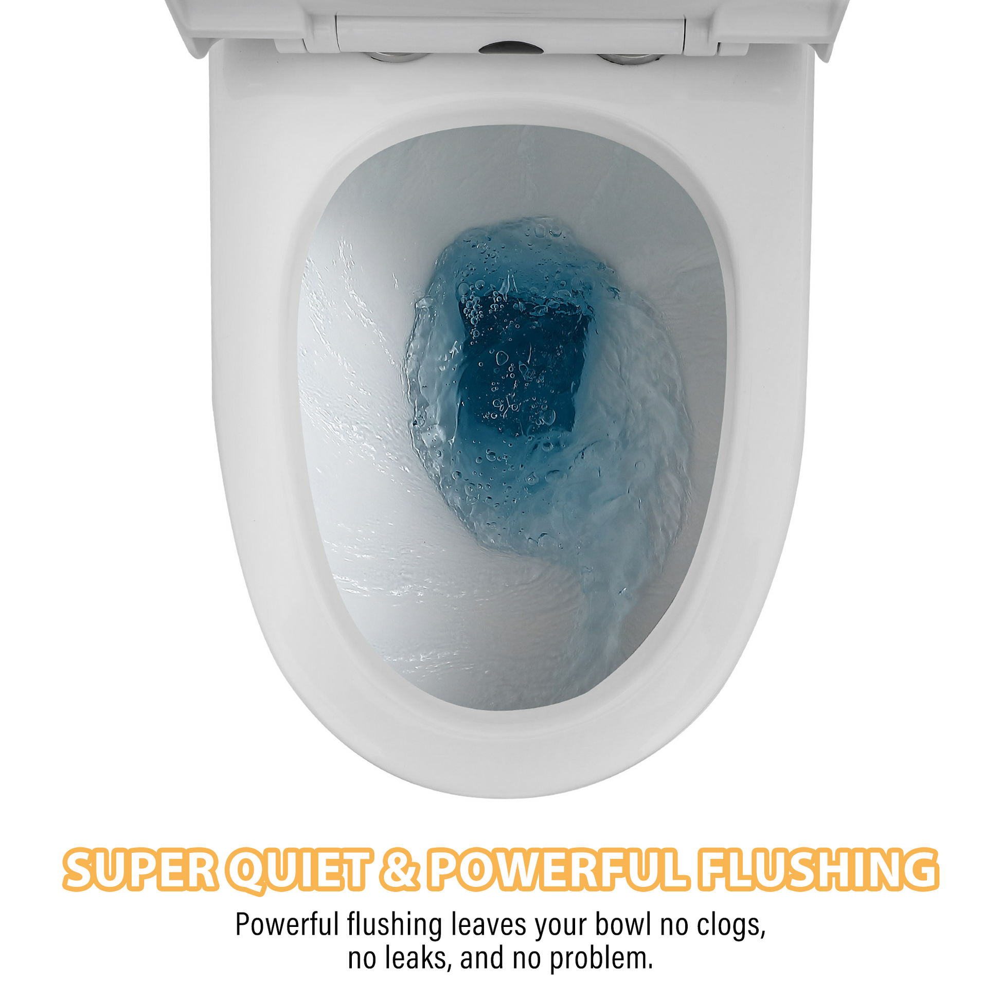 Dual Flush One-Piece Toilet 1.6/1.1 GPF with Soft Closing Seat