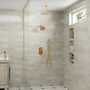 3-Function Shower System with Dual Showerheads and Balancing Valve