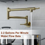 Wall Mount Pot Filler Kitchen Faucet with 360° Rotating Arm & Fast-Flow Aerator