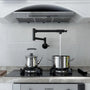 Modern Style Pot Filler Kitchen Faucet with 360° Swivel Spout
