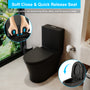Elongated One Piece Toilet Dual Flush 1.1/1.6 GPF Water-Saving Design