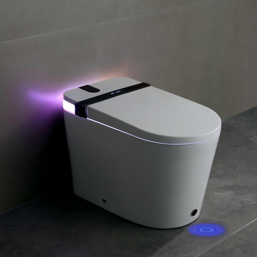 Foam Shield Smart Bidet Toilet with Automatic Lid & Multiple Wash Modes