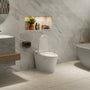 Compact Dual Flush Smart Toilet Bidet Combo with Self-Cleaning Nozzle