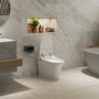 Elongated Smart Bidet Toilet with Heated Seat, Dryer and Warm Water