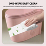 Dual-Flush 1.1/1.6 GPF Elongated One-Piece Toilet with Soft-Close Seat