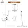 CASAINC 2-Function Shower System with Handheld Shower in Brushed Nickel/Matte Black
