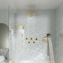12" Dual Shower Head System with with 360° Side Sprays & Shelving Shower Holder