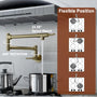 Wall Mount Pot Filler Kitchen Faucet with 360° Rotating Arm & Fast-Flow Aerator