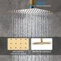 Casainc 2 Function 10" Ceiling Mount Dual Shower Heads Shower System In Black
