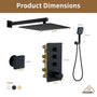 12'' Shower System With 3-Function Shower Head & 6 Body Jets