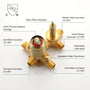 10-inch/12inch 3-Function Shower System With Bathtub Spout