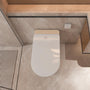 Luxury Smart Bidet Toilet with Heated Seat and Auto Flush, White, Gold, or Silver Seat Cover