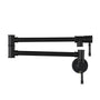 Space-Saving Wall-Mounted Pot Filler with Double Handles and Folding Design