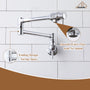 Double Handles Wall-Mounted Folding Pot Filler Space-Saving
