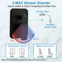 9-inch 2-Function Wall-Mounted Shower System with Handheld Shower
