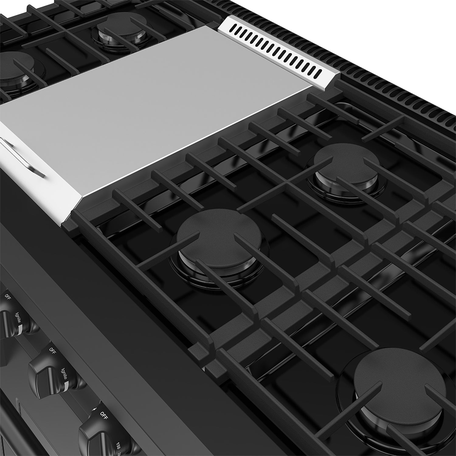 48 Inch Professional Gas Range in Black/White
