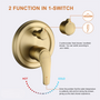 12" 5-Spray Dual Shower Head System with Brass Valve Included