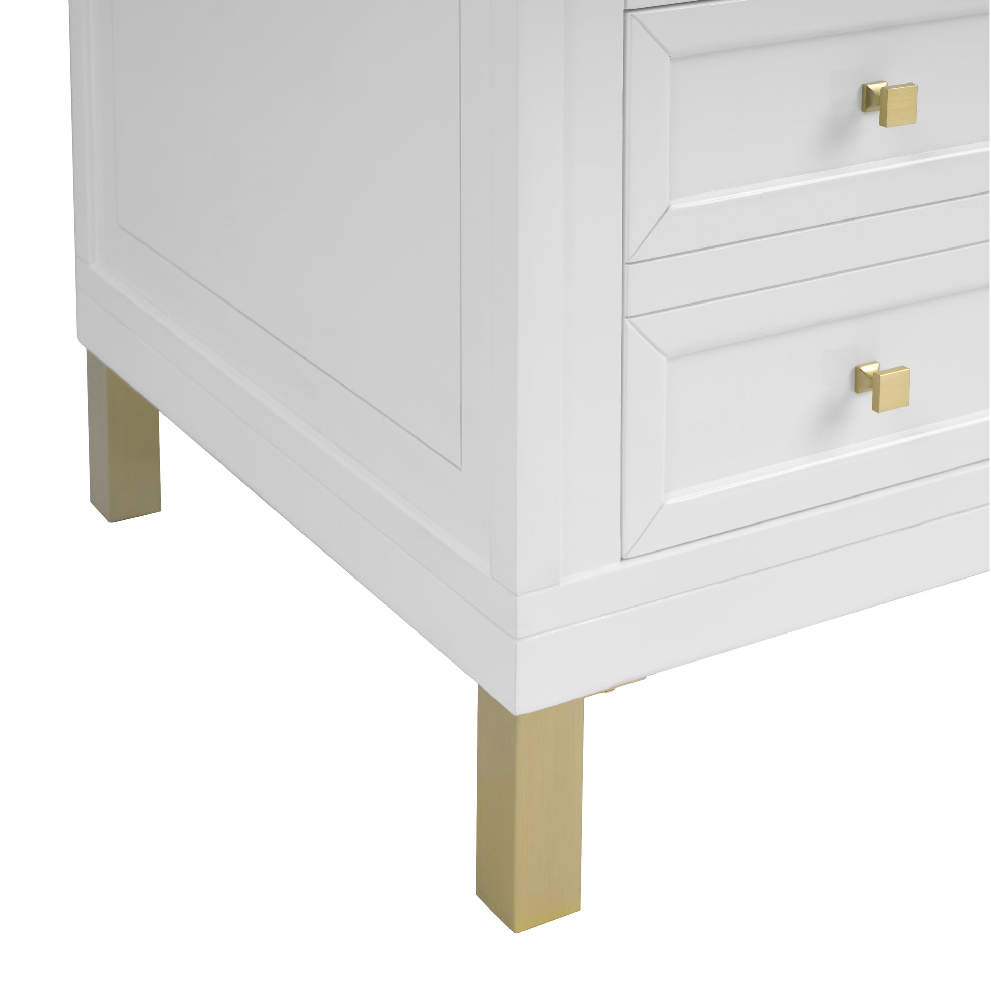 James Martin Chicago 60" Double Vanity Cabinet with Double Doors, Drawers & Adjustable Shelves