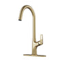 Single-Handle Kitchen Faucet with Pull-Out Sprayer in Matte Black Brushed Nickel Brushed Gold