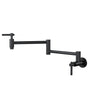 Stainless Steel Folding 2-Handle Switch Head Wall Mounted Pot Filler Kitchen Faucet