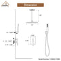 CASAINC 2-Function Shower System with Handheld Shower in Brushed Nickel/Matte Black
