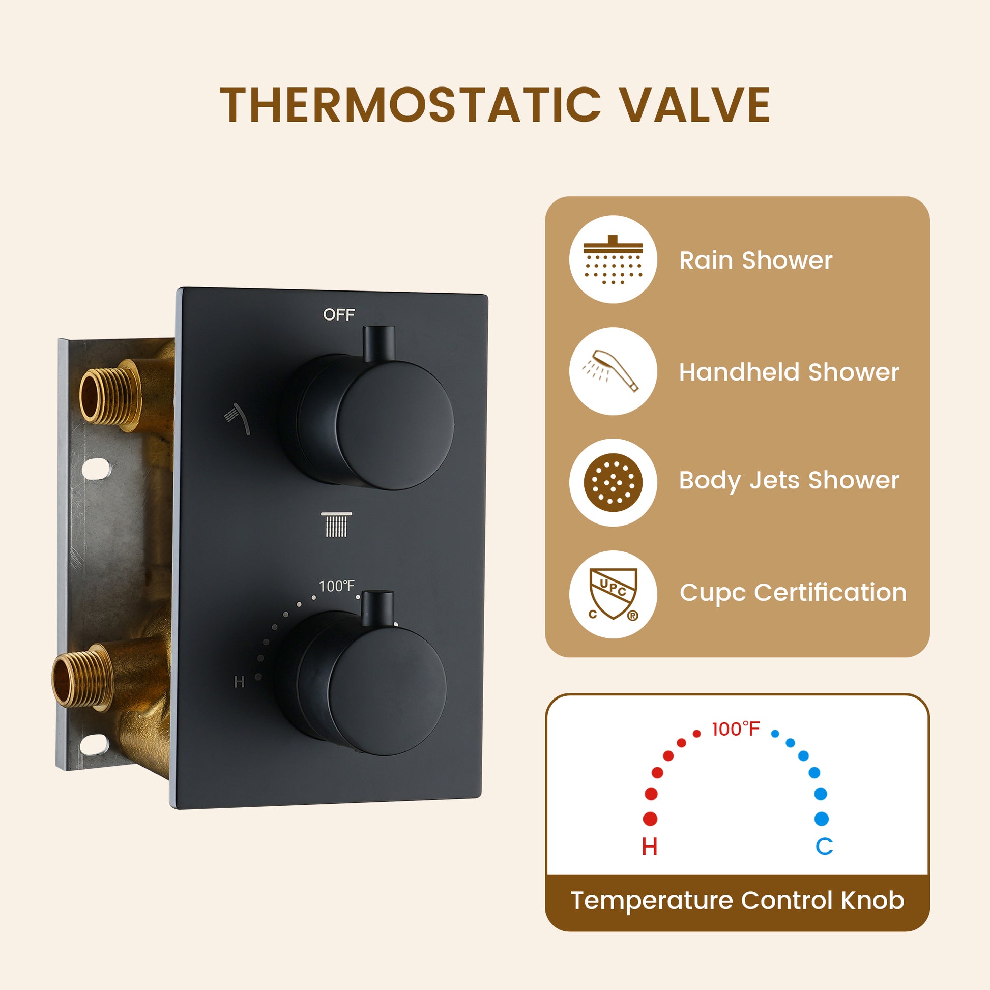 8-inch Ceiling-Mounted Thermostatic Shower System with Body Jets