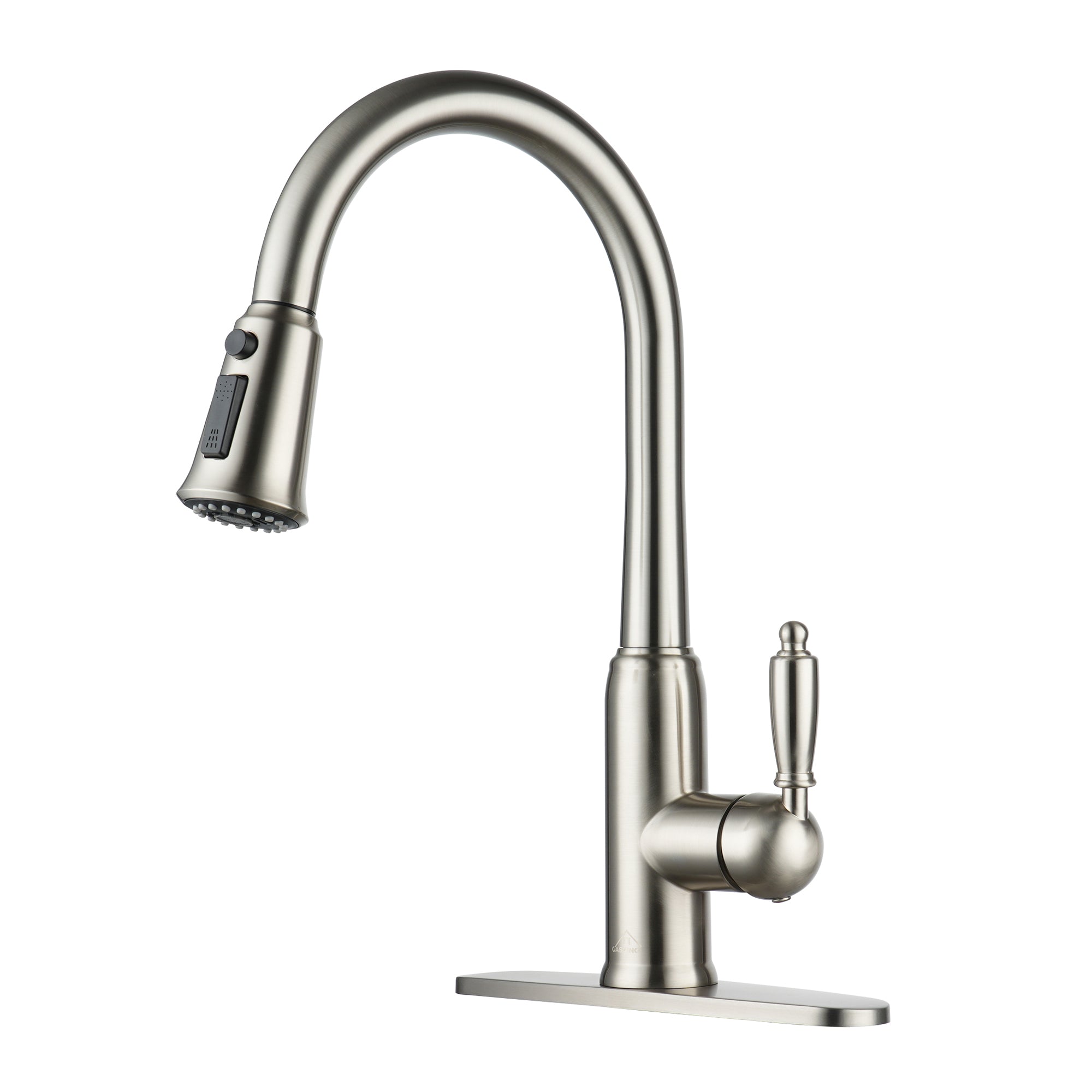 Casainc Single-Handle Kitchen Faucet with  Pull-Out Sprayer