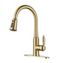 Casainc Single-Handle Kitchen Faucet with  Pull-Out Sprayer