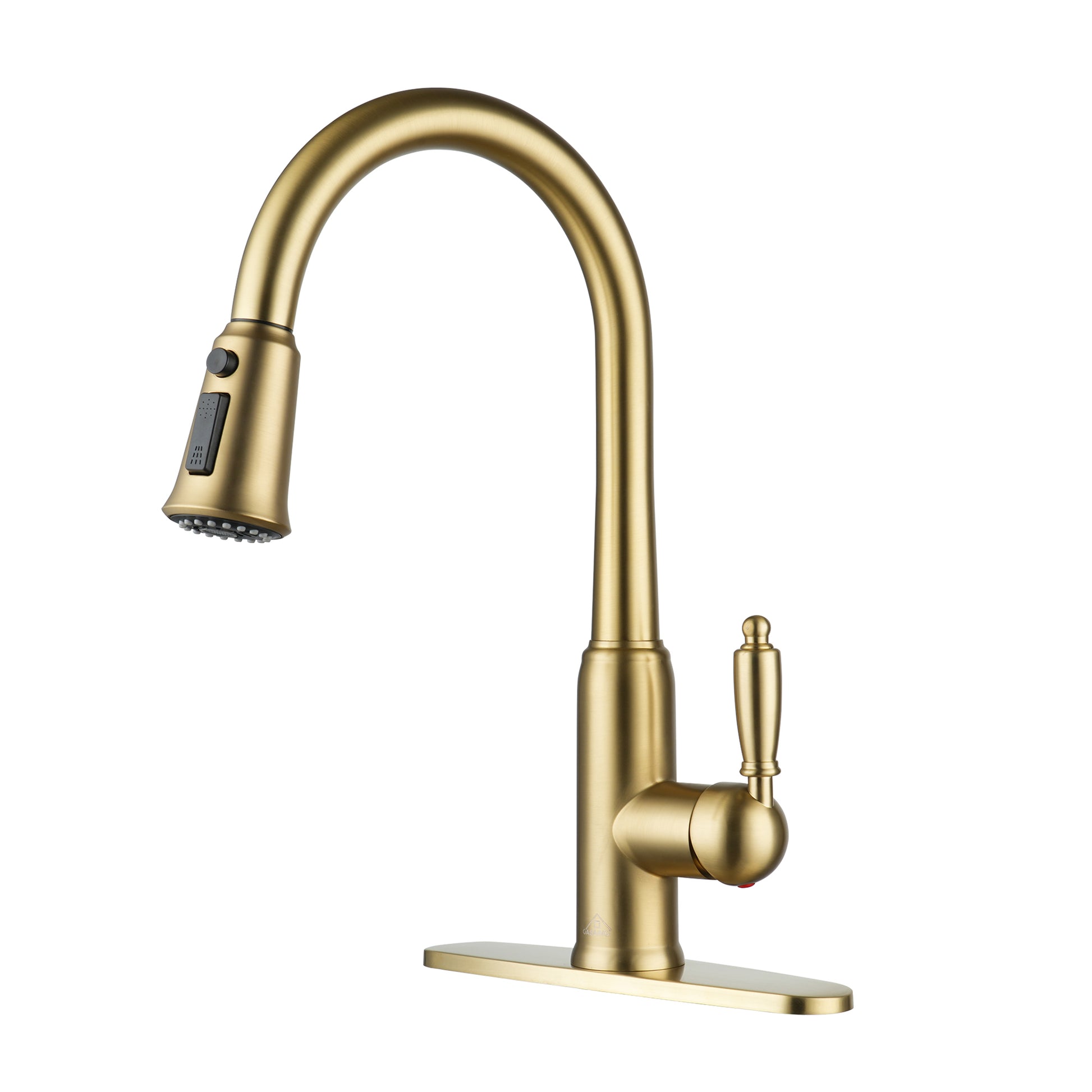 Casainc Single-Handle Kitchen Faucet with  Pull-Out Sprayer