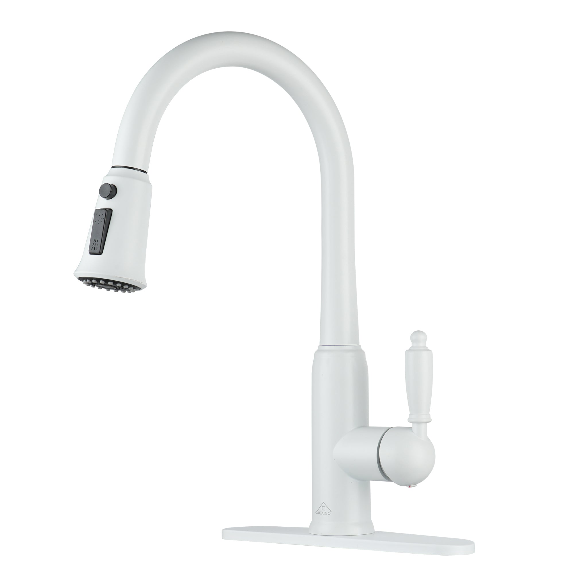 Casainc Single-Handle Kitchen Faucet with  Pull-Out Sprayer