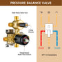 12-inch Wall-Mounted 4-Function Dual Shower System with Body Jets