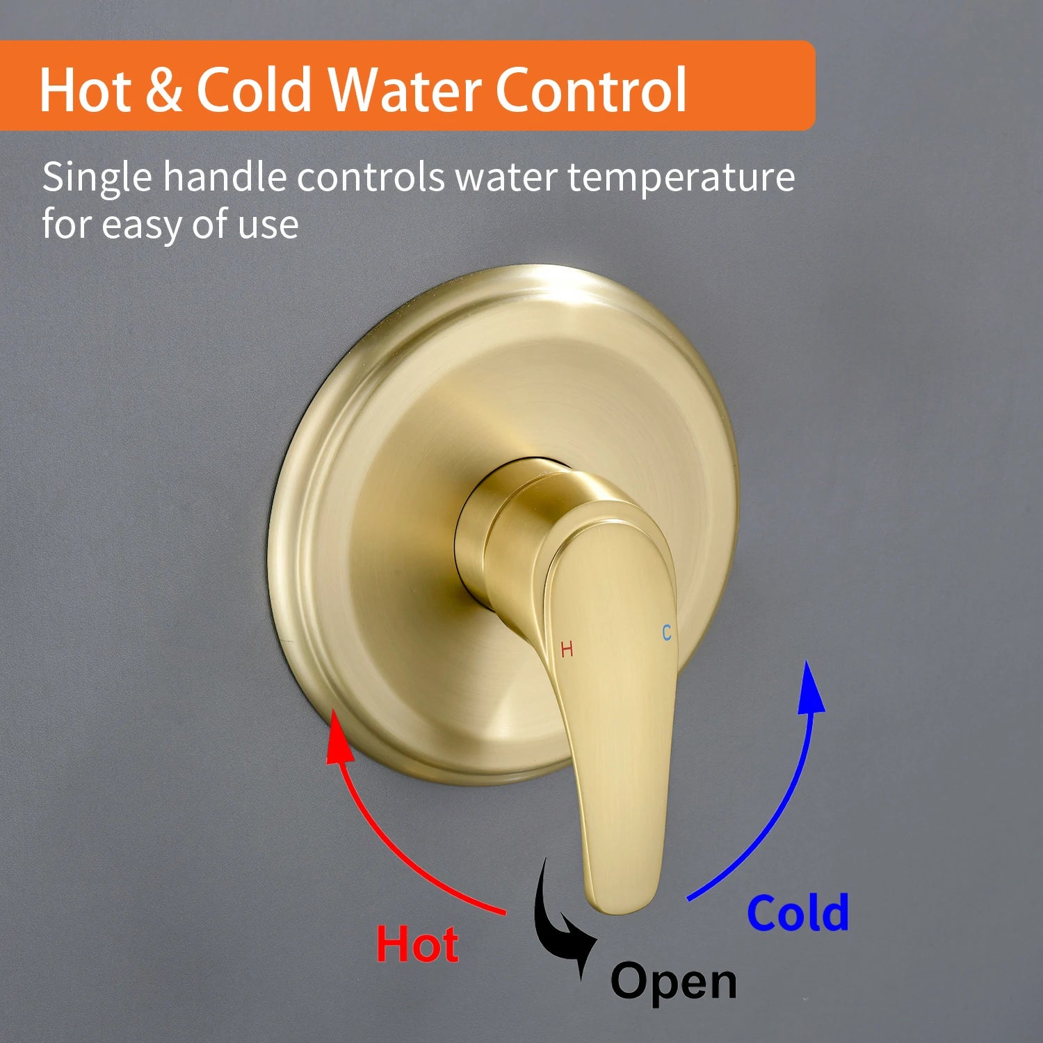 7-Function Handheld Shower System with Filter and Pressure Balance Valve in Brushed Gold