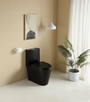 Dual-Flush 1.1/1.6 GPF Elongated One-Piece Toilet with Soft-Close Seat