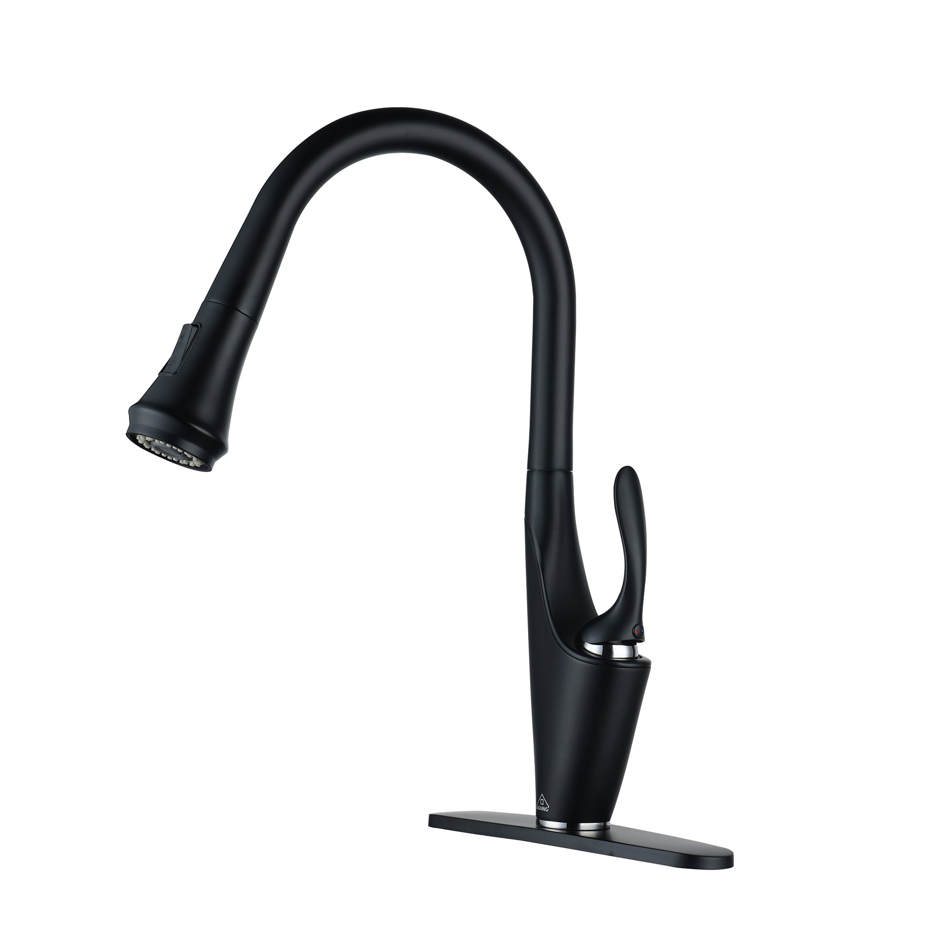 CASAINC Single-Handle Kitchen Faucet with  Pull-Out Sprayer