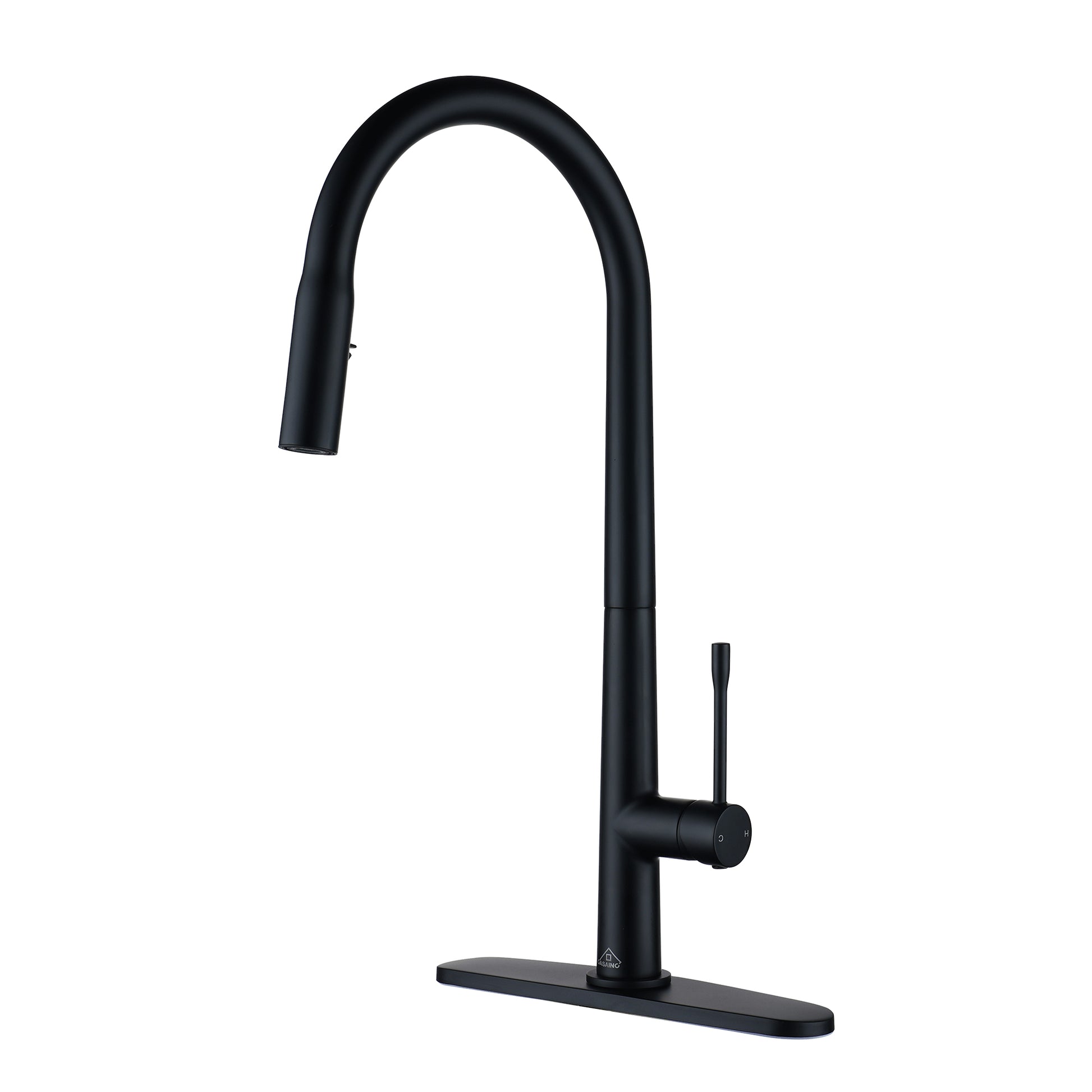 CASAINC Single-Handle Kitchen Faucet with  Pull-Out Sprayer