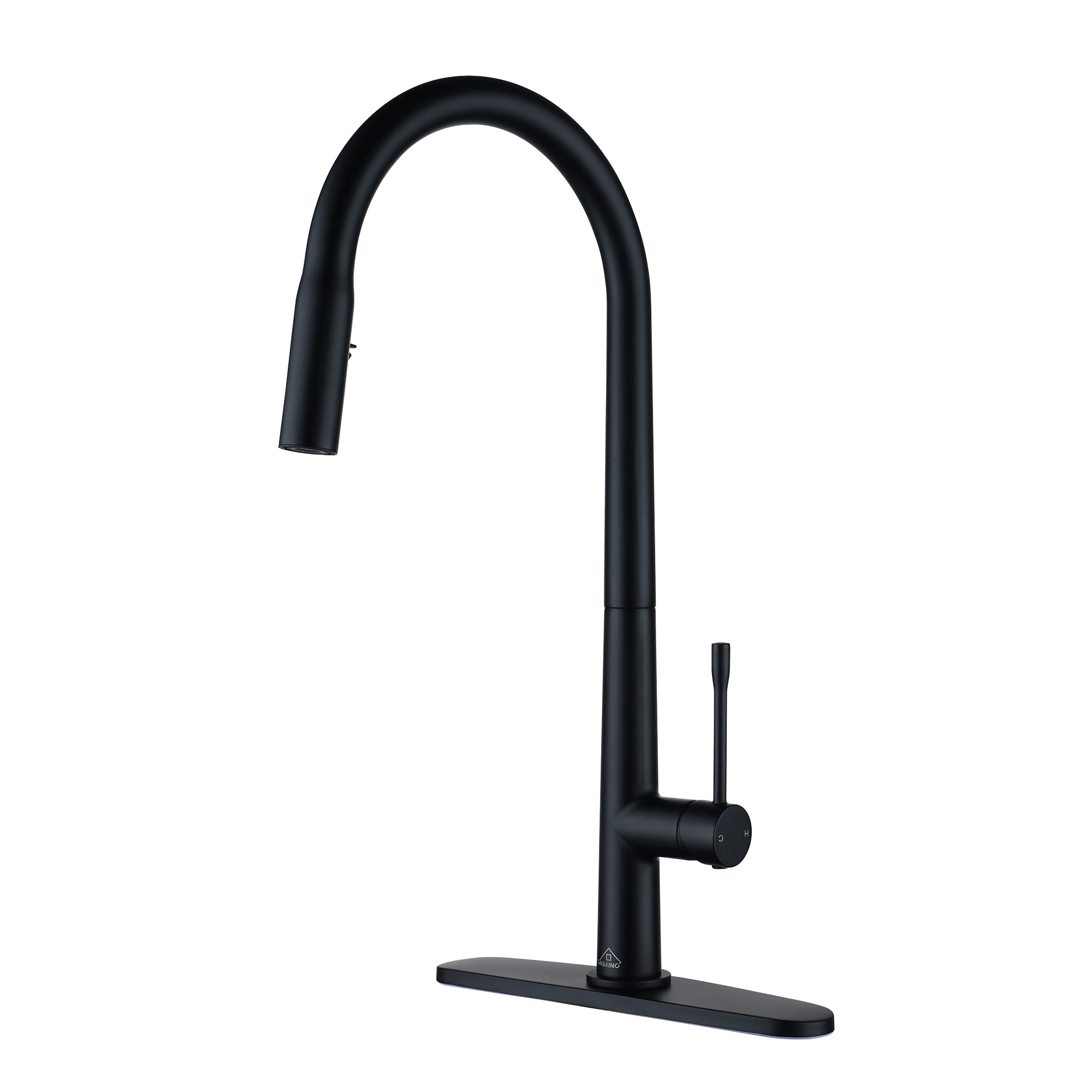 CASAINC Single-Handle Kitchen Faucet with  Pull-Out Sprayer