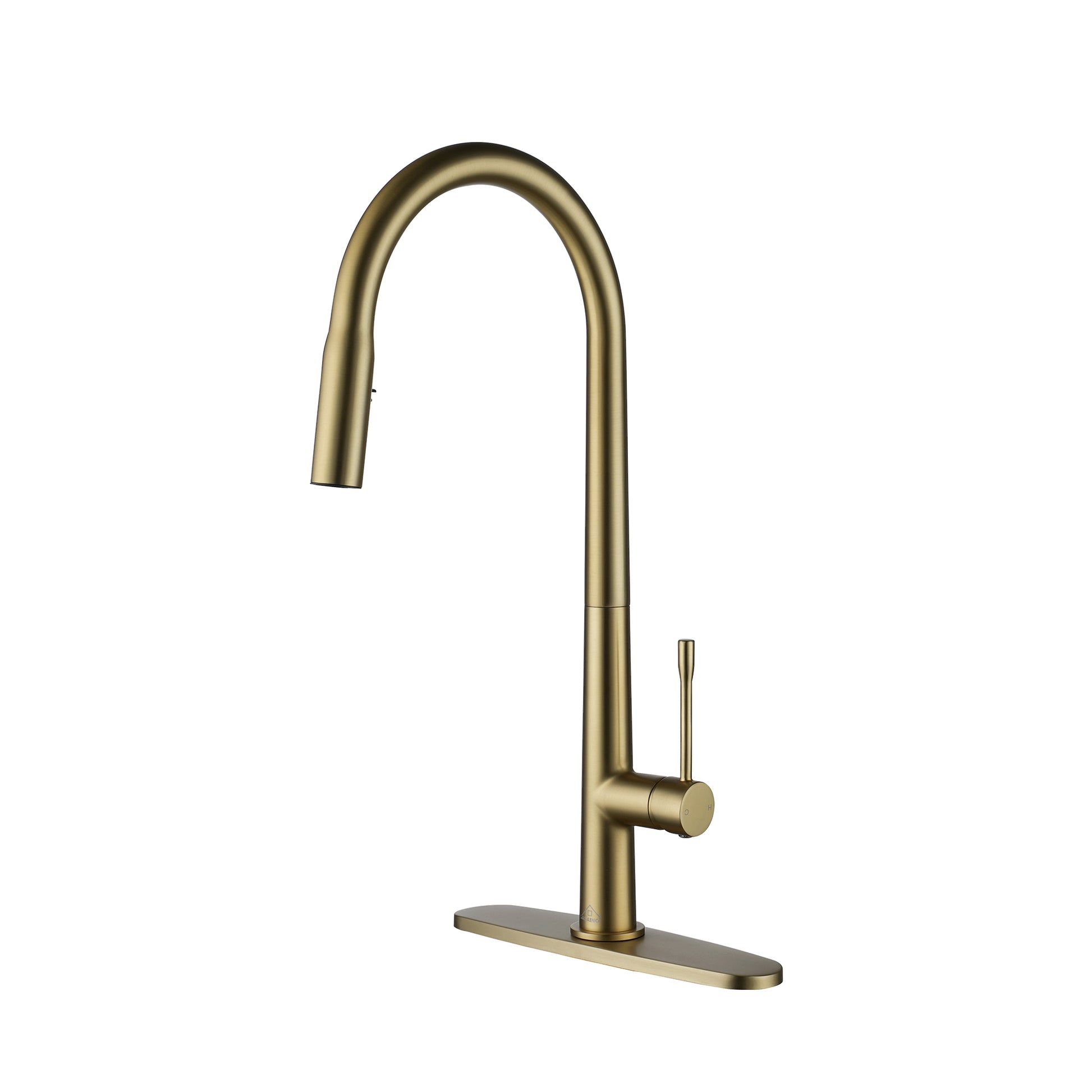 CASAINC Single-Handle Kitchen Faucet with  Pull-Out Sprayer