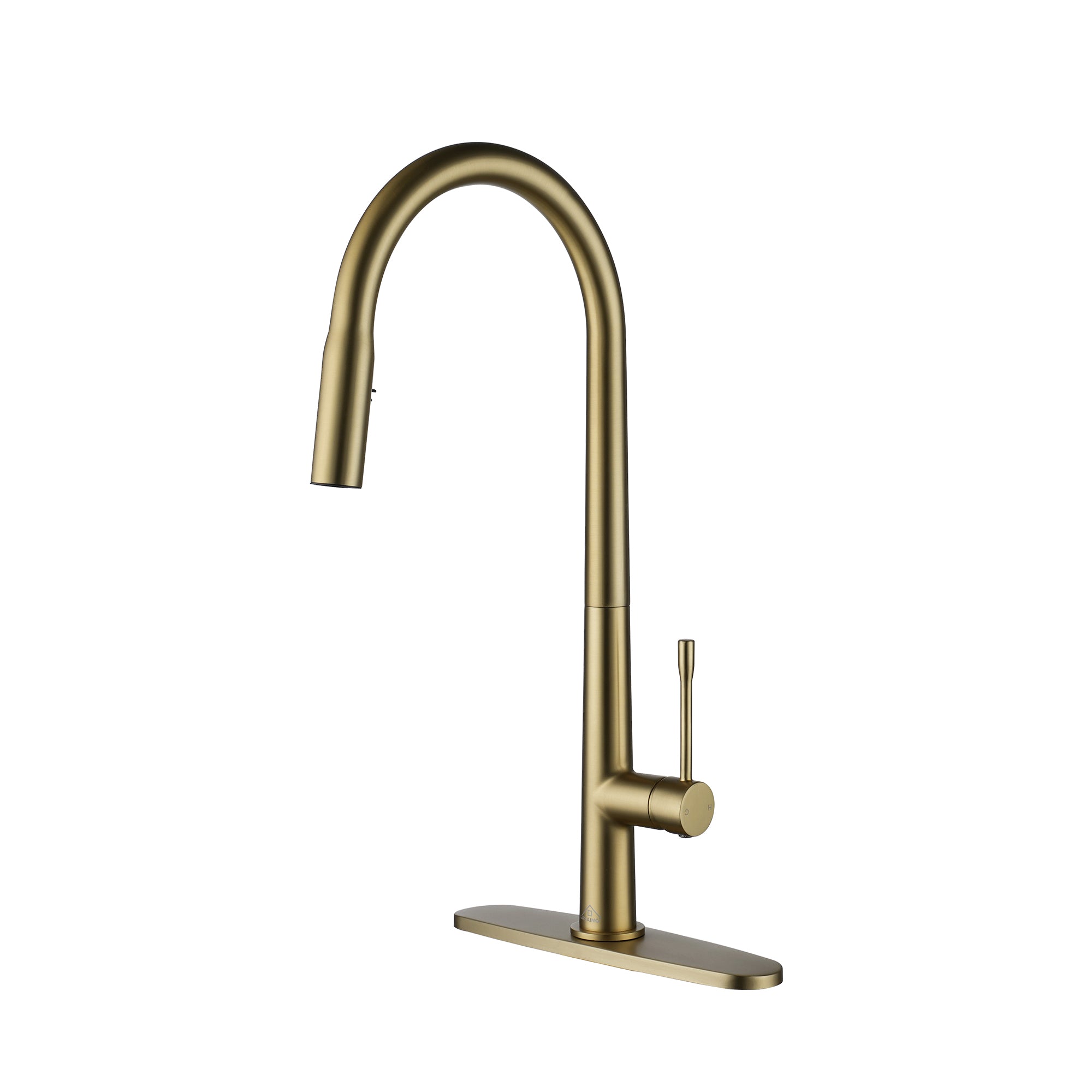 CASAINC Single-Handle Kitchen Faucet with  Pull-Out Sprayer