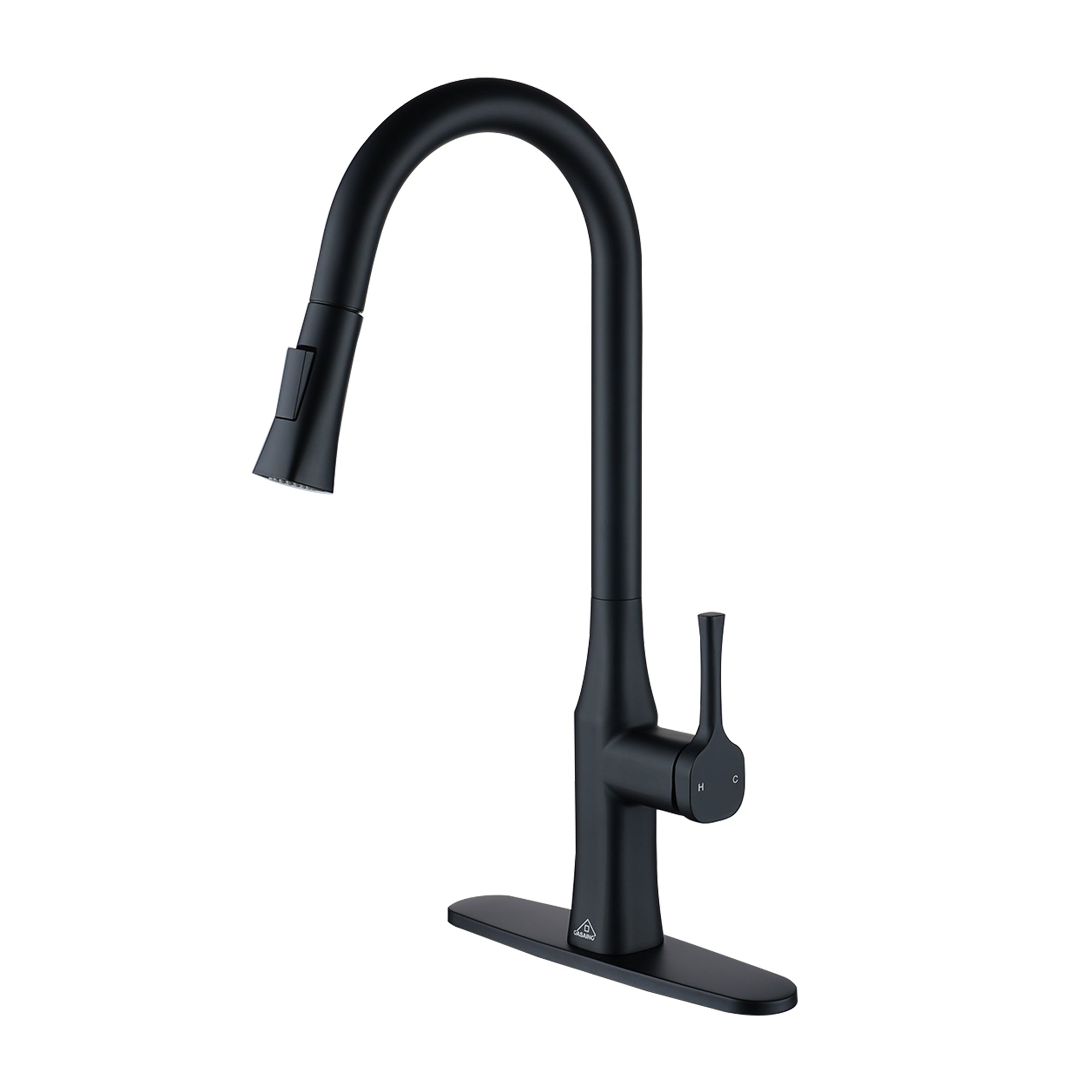 CASAINC Single-Handle Kitchen Faucet with  Pull-Down Sprayer