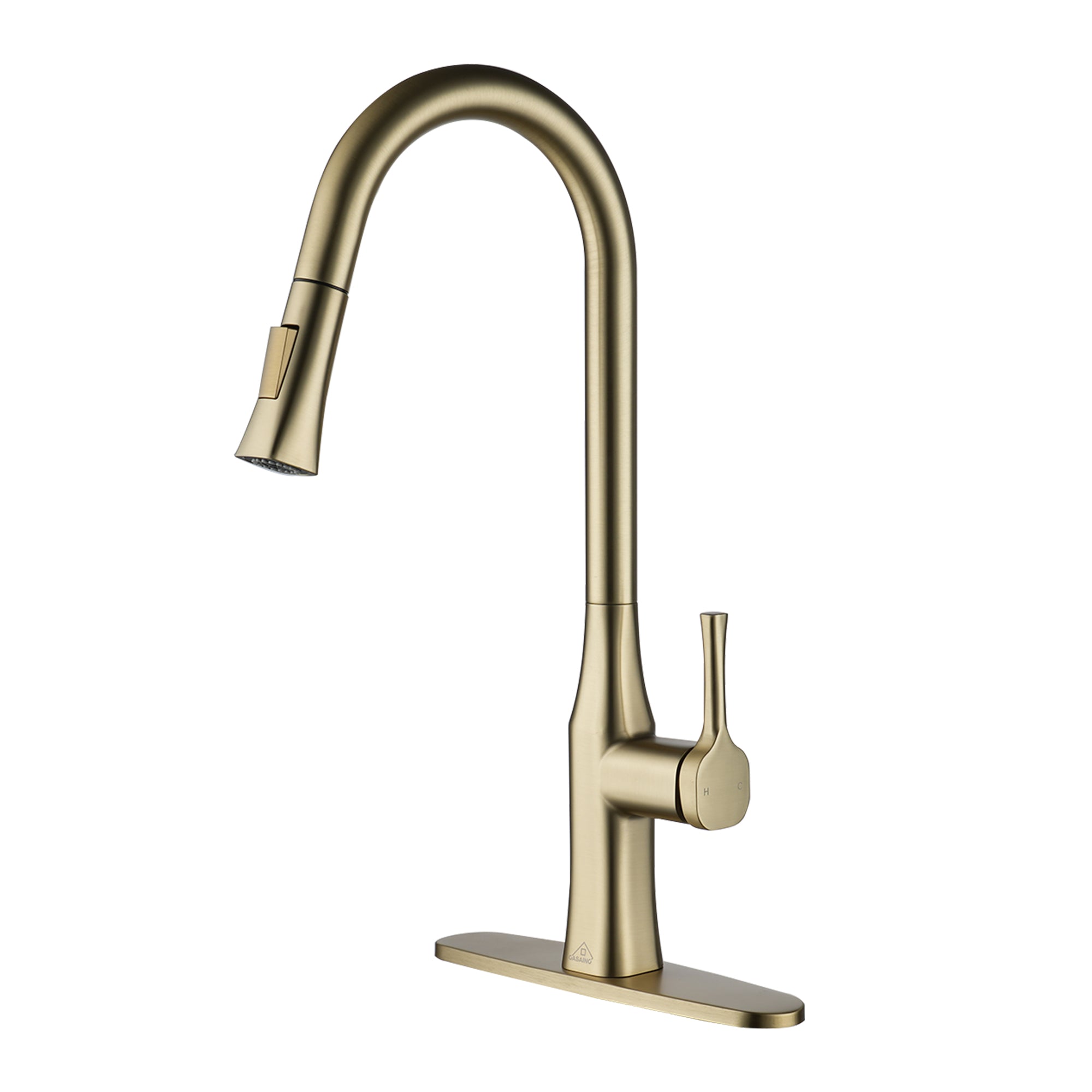 CASAINC Single-Handle Kitchen Faucet with  Pull-Down Sprayer