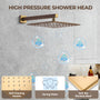 12" Wall Mount Rain Shower System with Water-Powered Digital Display
