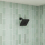 7-Function Replacement Shower Head with Shower Arm & Flange