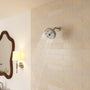5-inch 10-Function Replacement Shower Head with Arm & Flange