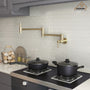 Stainless Steel Folding 2-Handle Switch Head Wall Mounted Pot Filler Kitchen Faucet