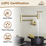 Stainless Steel Folding 2-Handle Switch Head Wall Mounted Pot Filler Kitchen Faucet