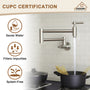 Stainless Steel Folding 2-Handle Switch Head Wall Mounted Pot Filler Kitchen Faucet